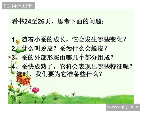 十四年与二十年之间的成长与变化探讨与反思