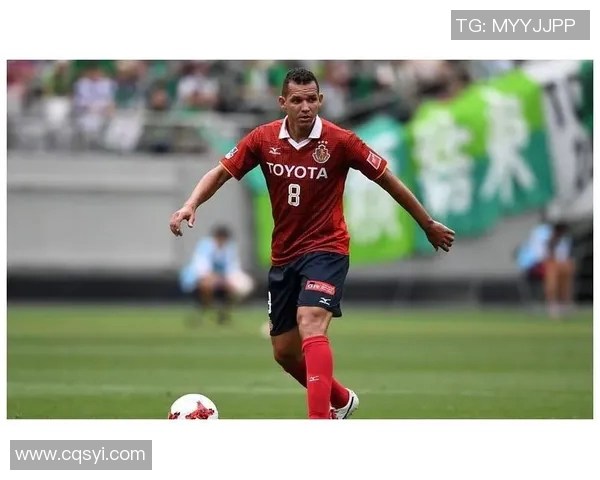 明尼苏达与圣何塞2019年精彩对决回顾与分析