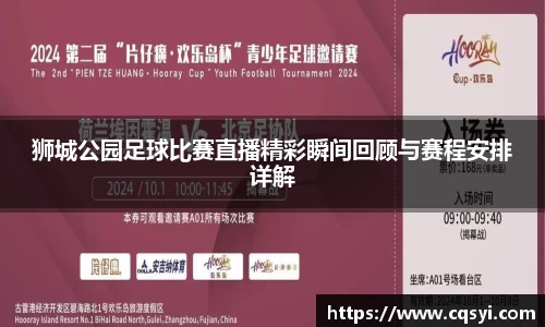狮城公园足球比赛直播精彩瞬间回顾与赛程安排详解