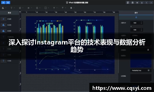 深入探讨Instagram平台的技术表现与数据分析趋势